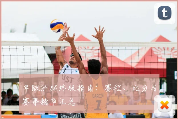 年欧洲杯终极指南：赛程、比分与赛事精华汇总