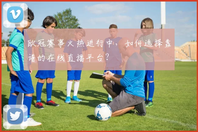 欧冠赛事火热进行中，如何选择靠谱的在线直播平台？