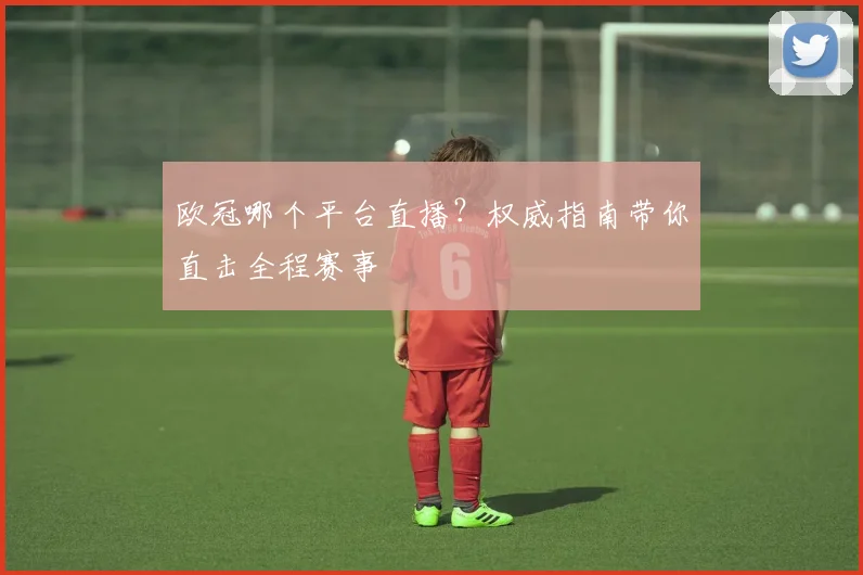 欧冠哪个平台直播？权威指南带你直击全程赛事