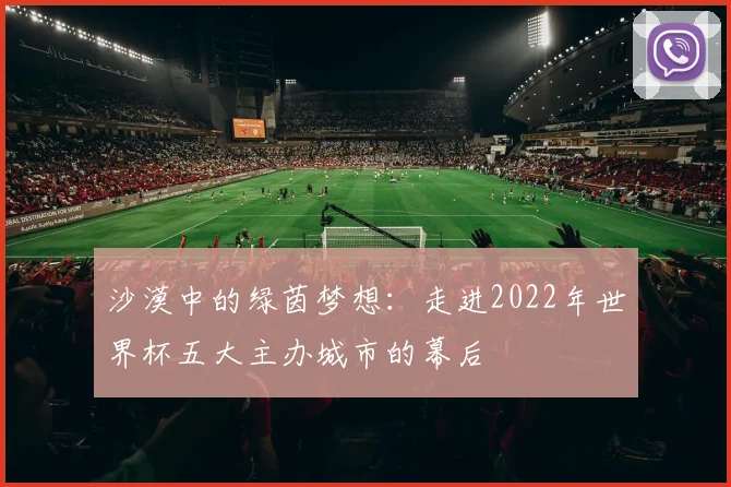 沙漠中的绿茵梦想：走进2022年世界杯五大主办城市的幕后