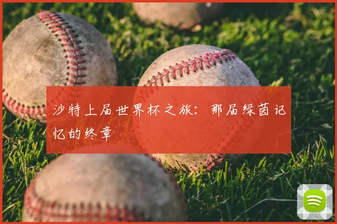 沙特上届世界杯之旅：那届绿茵记忆的终章