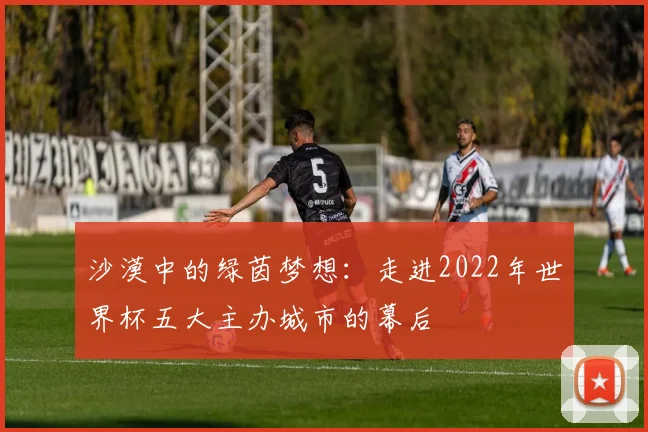 沙漠中的绿茵梦想：走进2022年世界杯五大主办城市的幕后