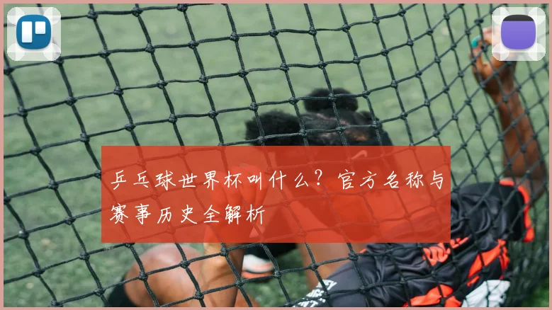 乒乓球世界杯叫什么？官方名称与赛事历史全解析