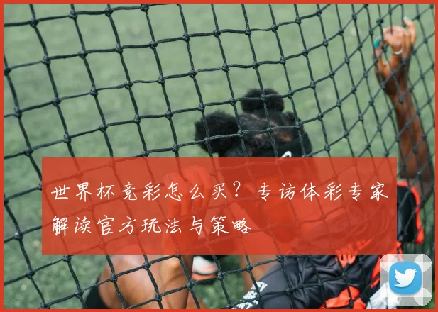 世界杯竞彩怎么买?专访体彩专家解读官方玩法与策略