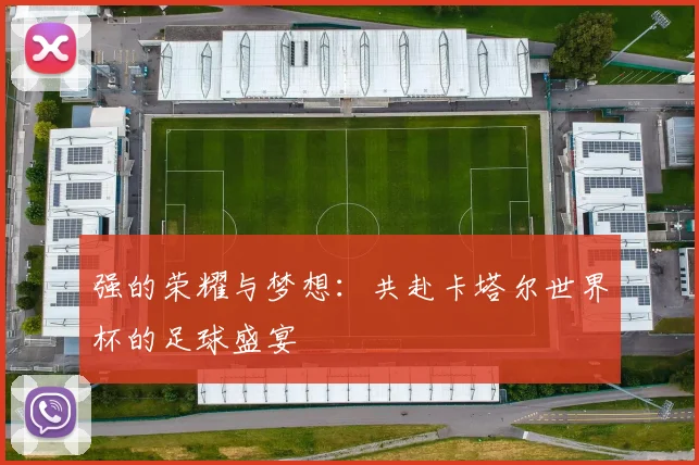 强的荣耀与梦想：共赴卡塔尔世界杯的足球盛宴