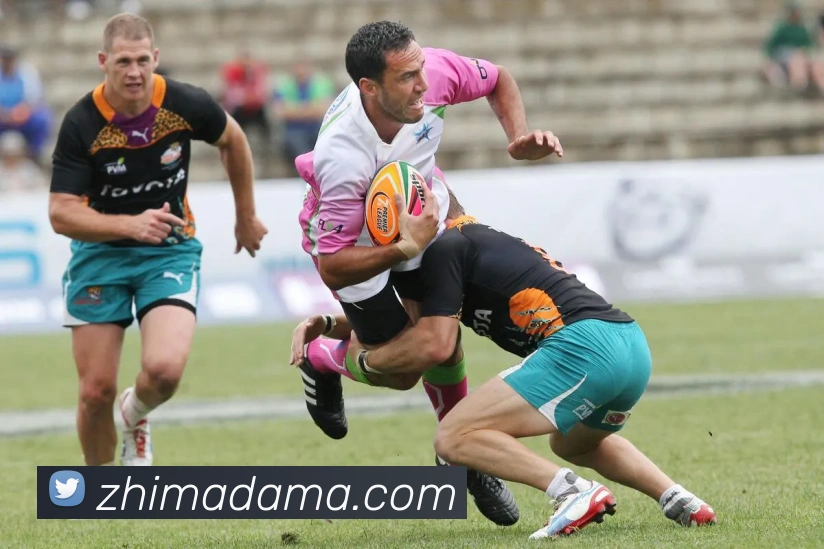 欧宝app登录入口平台生态图