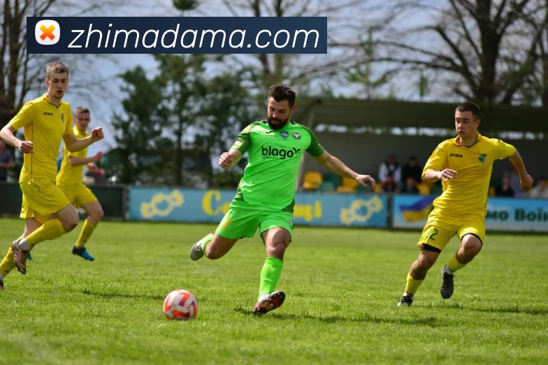 欧宝app登录入口APP 封面图